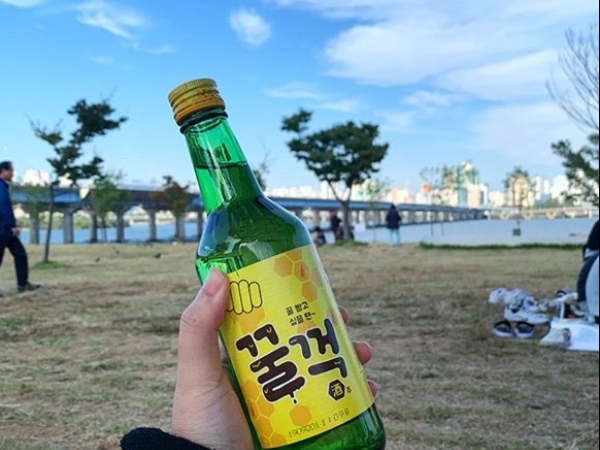 不敢喝燒酒的人也能輕鬆駕馭！超好喝的「蜂蜜燒酒」台灣「這裡」買得到，酒鬼們還不快喝爆！