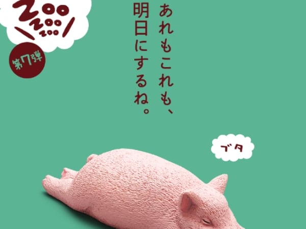 「休眠動物園」終於有小睡豬了！3 款療癒系動物扭蛋必須收，快來壯大你的動物樂園！