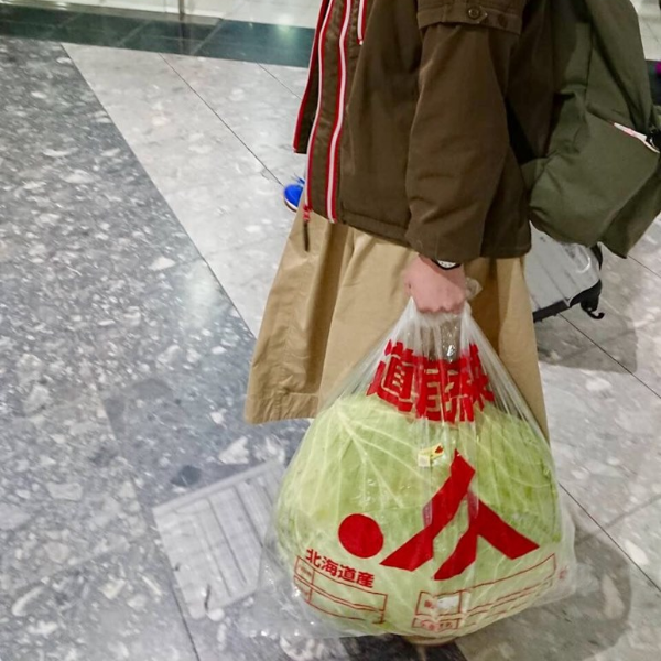 J 格紀念品有點狂！日本妹子從北海道帶了一顆超巨大高麗菜搭飛機，機場路人看到超傻眼