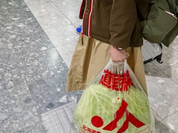 J 格紀念品有點狂！日本妹子從北海道帶了一顆超巨大高麗菜搭飛機，機場路人看到超傻眼