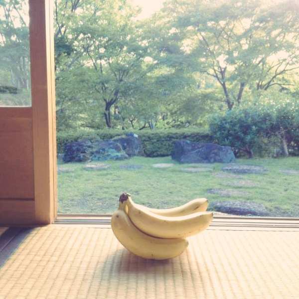 這個絕對超過 12 萬美元！日本網友興趣是「幫香蕉拍藝術照」，成品超有意境被推爆！