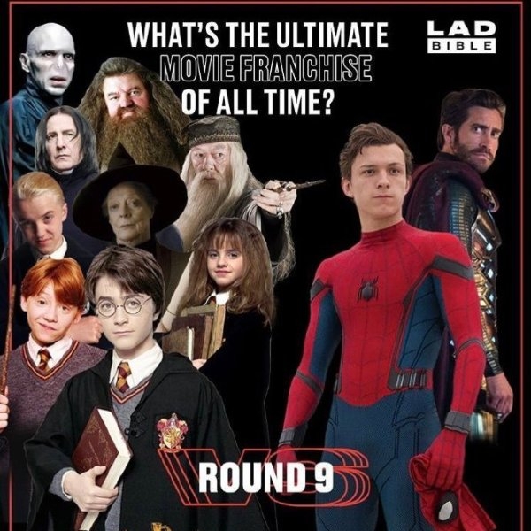 網站票選「哈利波特 PK 蜘蛛人」哪部系列電影更佳？湯姆荷蘭親自出面秒答！